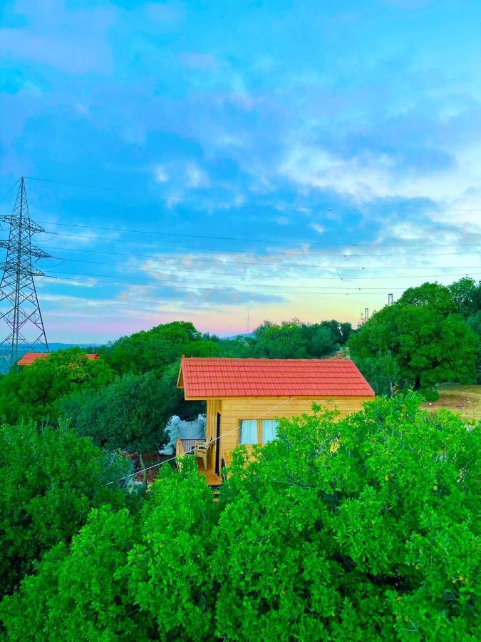 Ajloun Wooden Huts اكواخ عجلون الخشبية Live Amid Nature Umm al Manabi エクステリア 写真