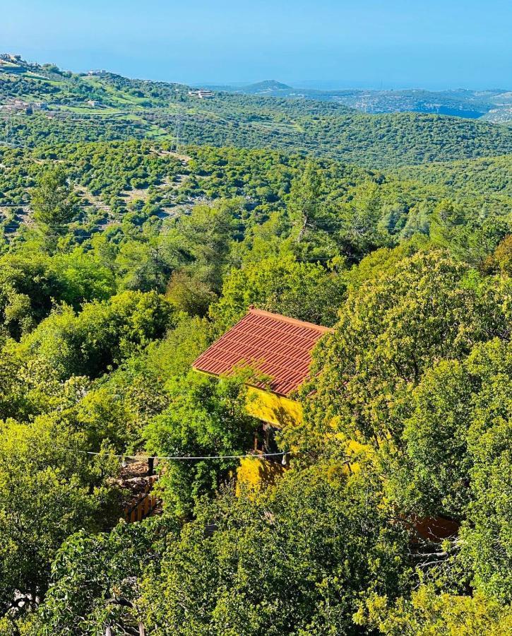 Ajloun Wooden Huts اكواخ عجلون الخشبية Live Amid Nature Umm al Manabi エクステリア 写真